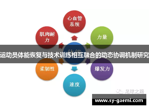 运动员体能恢复与技术训练相互融合的动态协调机制研究